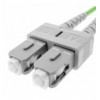  Cavo Fibra Ottica Multimodale OM5 SC/SC 50/125 3 m