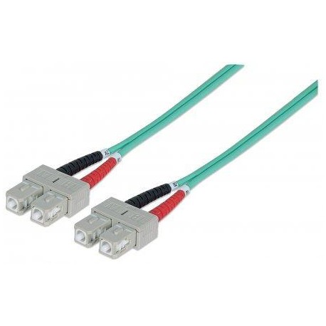 Cavo Fibra Ottica Multimodale OM3 SC/SC 50/125 2 m ILWL D5-B-020/OM3