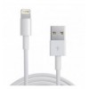 Cavo da Lightning a USB 1m Bianco