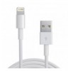 Cavo da Lightning a USB 1m Bianco