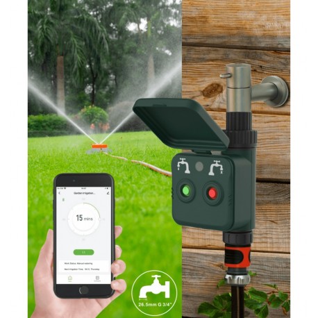 Controllo Intelligente Irrigazione del Giardino Controllo Vocale Alexa