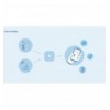 Kit Sistema di allarme WiFi SIM 4G Smart Home Alexa LTE-400