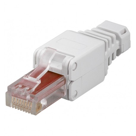 Plug Cat.6 RJ45 Toolless con Copriconnettore IWP-8P8C-TLU6