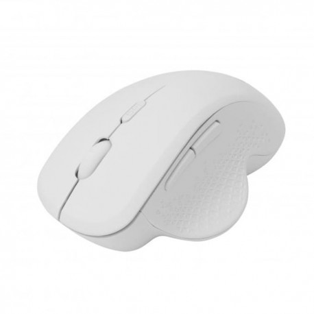 Mouse ottico wireless 6D 800 - 1600 DPI con scroll Bianco ICSB-WM549WH