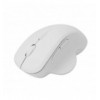 Mouse ottico wireless 6D 800 - 1600 DPI con scroll Bianco ICSB-WM549WH