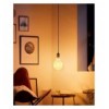 Lampadina Intelligente Globo E27 Ambra Calda 4,9W LED a Filamento Alexa Google Assistant, R5139
