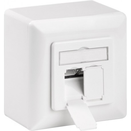 Presa a Muro Esterna 2xRJ45 Cat.6A Bianco IWP-MD 8/8-SAP-C6A