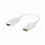 Adattatore Passivo DisplayPort Maschio a HDMI Femmina Full HD