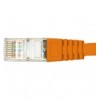 Cavo di rete Patch in CCA Schermato Cat. 6 Arancione F/UTP 0,5 m Bulk ICOC CCA6F-005-OR