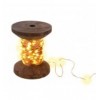 Bobina con Filo di Rame 100 Luci LED IP21 USB Interruttore On Off