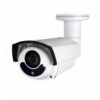 Telecamera CCTV Bullet IR da Soffitto Full-HD IP66