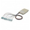 Cassetta di Giunzione Attrezzata con 12 Pigtail Fibra Multimodale OM3 LC 50/125 2m ILWL PG-LC-OM3-SPC