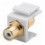 Modulo Keystone Cinch/RCA Bianco
