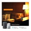 Lampadina LED E27 con Filamento Smart Controllo Vocale Alexa F, R9078