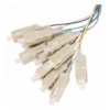 Set 12 Pigtail Fibra Ottica Multimodale OM2 SC 50/125 2 m ILWL PG-SC-OM2