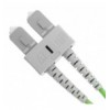  Cavo Fibra Ottica Multimodale OM5 SC/SC 50/125 3 m ILWL D5-B-030/OM5T