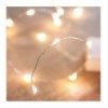 Luci Natalizie da Interno 20 LED a Filo Argentato con Timer A++