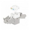 Frutto Keystone RJ45 Cat6 STP