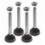 Kit 4 Piedi di Livellamento per Armadi Rack NextGen