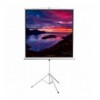 Schermo di Proiezione con Treppiedi 112'' 200x200 PSMT-112V2 ICA-TP PSMT-112V2