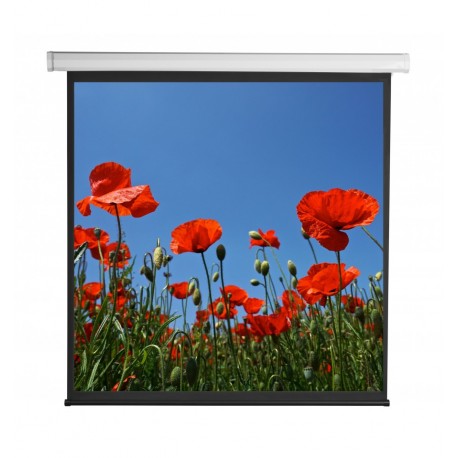 Schermo di Proiezione Motorizzato 112'' 200x200 PSA-112-2 ICA-TP PSA-112V2