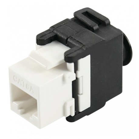 Frutto Keystone RJ45 UTP Cat.6A IWP-MD C6A/UFLT