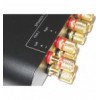 Commutatore audio per casse acustiche 2 vie con Terminali a banana IDATA AU-270