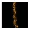 Stringa di 50 Luci LED a Grappolo di Filo d'argento Bianco Caldo IP44
