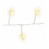 Stringa di 50 Luci LED a Grappolo di Filo d'argento Bianco Caldo IP44