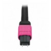 Cavo Patch a 12 Fibre MTP-F/MTP-F OM4 Code B 3 metri