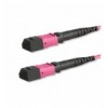 Cavo Patch a 12 Fibre MTP-F/MTP-F OM4 Code B 5 metri ILWL MTP12-OM4-B05