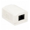 Presa a Muro con 1 Frutto RJ45 Cat.6A UTP Beige