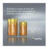 Blister 2 Batterie 1.5V Longlife Alcalina D Torcia