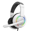 Cuffie Gaming con Microfono e Illuminazione RGB