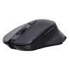Mouse Ottico Wireless 1600 Dpi 6D Nero, WM-308B