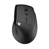 Mouse Ergonomico RGB Wireless + USB 2.4G Nero IM 1300-VM-RGB