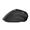 Mouse Ergonomico RGB Wireless + USB 2.4G Nero
