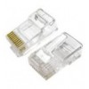 Plug RJ50 10 poli 10 contatti IWP-10P10C-1