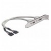 Cavetto Slot USB 2.0 2x 5pin ICOC SLOT-USB