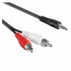 5 mm a 2 x RCA maschio 1