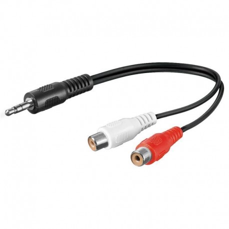 Cavo Audio Stereo 2 RCA Femmina a Jack 3.5 mm Maschio 0