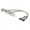 Cavetto Slot USB 2.0 2x 5pin ICOC SLOT-USB