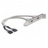 Cavetto Slot USB 2.0 2x 5pin