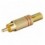 Connettore Audio RCA Maschio Dorato, Rosso