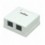 Presa a Muro con 2 Frutti RJ45 Cat. 5E UTP Beige