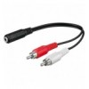 Cavo Stereo Jack 3.5 mm F a 2 x RCA M 0