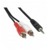 5 mm a 2 x RCA maschio 20