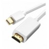 Cavo Monitor Mini DisplayPort (Thunderbolt) / HDMI 2m Bianco ICOC MDP-020H